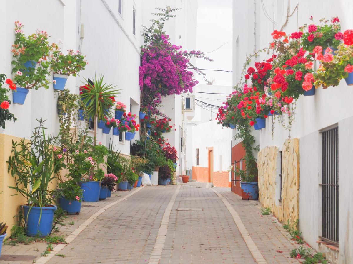 Conilplus Apartamento Lenguado Conil De La Frontera Exteriör bild